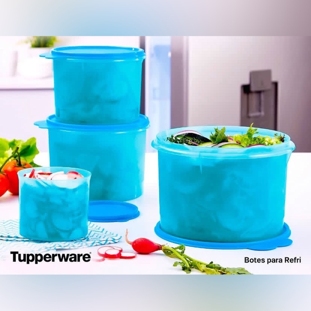 Tupperware Blue Food Storage Container Set of 4